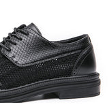 Scarpa Elegante Belmont Mesh Oxfords