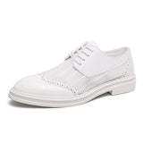 Scarpa Elegante Belmont Mesh Oxfords