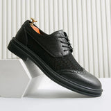 Scarpa Elegante Belmont Mesh Oxfords