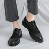 Scarpa Elegante Belmont Mesh Oxfords