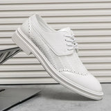 Scarpa Elegante Belmont Mesh Oxfords