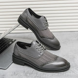 Scarpa Elegante Belmont Mesh Oxfords