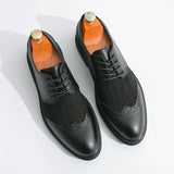 Scarpa Elegante Belmont Mesh Oxfords