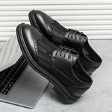 Scarpa Elegante Belmont Mesh Oxfords