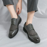 Scarpa Elegante Belmont Mesh Oxfords